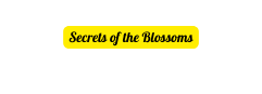 Secrets of the Blossoms