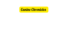 Canine Chronicles