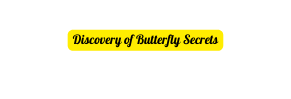 Discovery of Butterfly Secrets